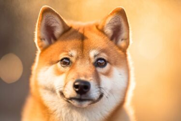 【夢占い】犬の夢を見たときのメッセージ